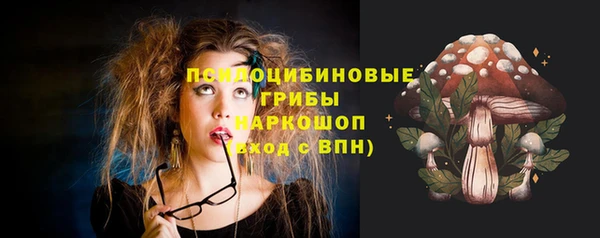 сатива Гусев