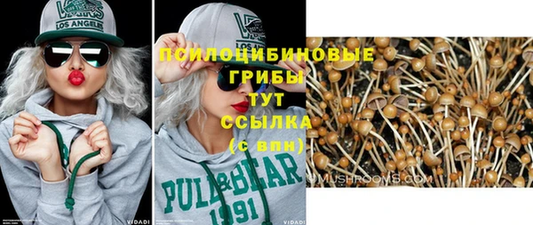гидра Горняк