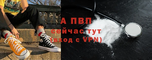 гидра Горняк