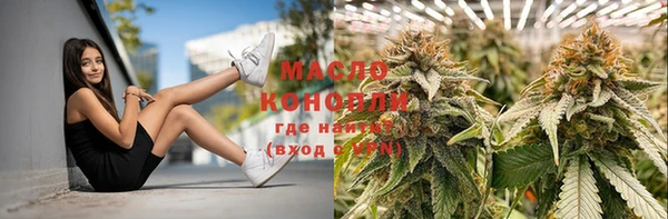 гидра Горняк