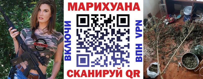 Конопля индика  Купить  Шебекино 